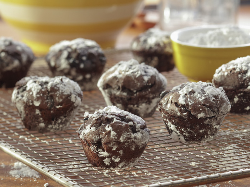 Protein Packed Chocolate Mini-Muffins